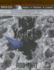 New Yorked (Ash McKenna, 1)