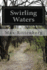 Swirling Waters