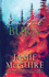Beautiful Burn: a Novel (the Maddox Brothers Book 4)