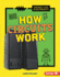 How Circuits Work (Connect With Electricity)