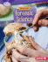 Discover Forensic Science (Searchlight Books? ? What's Cool About Science? )