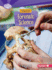 Discover Forensic Science (Searchlight Books What's Cool About Science)