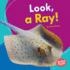 Look, a Ray! (Bumba Books �? I See Ocean Animals)