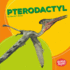 Pterodactyl Format: Library