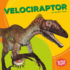 Velociraptor (Bumba Books �? Dinosaurs and Prehistoric Beasts)