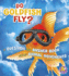 Do Goldfish Fly? : a Question and Answer Book About Animal Movements