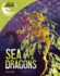 Sea Dragons (Real-Life Dragons)