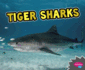 Tiger Sharks (All About Sharks) (Pebble Plus: All About Sharks)