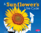 A Sunflower's Life Cycle (Explore Life Cycles)