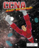 Ccna and Beyond