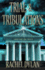 Trial & Tribulations (Windy Ridge Legal Thriller)