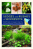 Sedges and Rushes of Minnesota-the Complete Guide to Species Identification