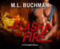 Flash of Fire (Fire Hawks, 4)