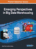 Emerging Perspectives in Big Data Warehousing