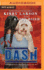 Dash (Dogs of World War II)