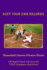 Baseball Game Stats Book: Keep Your Own Records (Simplified Version) (Team Colors)