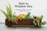 How to Window Box: Small-Space Plants to Grow Indoors Or Out (How to Series)