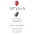 Option B: Facing Adversity, Building Resilience, and Finding Joy