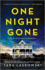 One Night Gone: a Novel