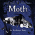 Moth: an Evolution Story