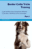 Border Collie Tricks Training Border Collie Tricks Games Training Tracker Workbook Includes Border Collie Multilevel Tricks, Games Agility Part 1