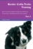 Border Collie Tricks Training Border Collie Tricks Games Training Tracker Workbook Includes Border Collie Multilevel Tricks, Games Agility Part 3