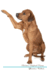 Rhodesian Ridgeback Affirmations Workbook Rhodesian Ridgeback Presents Positive and Loving Affirmations Workbook Includes Mentoring Questions, Guidance, Supporting You