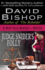 Judge Snider's Folly (a Matt Kile Mystery)