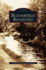 Bloomfield Revisited