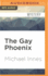 The Gay Phoenix