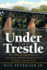 Under the Trestle: the 1980 Disappearance of Gina Renee Hall & Virginia's First "No Body" Murder Trial