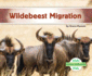 Wildebeest Migration
