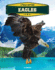 Eagles (Xtreme Raptors)