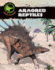 Armored Reptiles