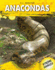 Anacondas (Xtreme Snakes)
