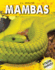 Mambas
