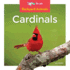 Cardinals