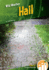 Hail (Wild Weather: Dash! Leveled Readers, Level 3)