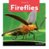 Fireflies (Insects)