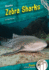 Zebra Sharks (Sharks (Dash! ))
