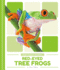 Red-Eyed Tree Frogs (Rain Forest Animals)