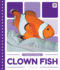 Clown Fish