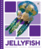 Jellyfish (Ocean Animals)