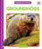 Groundhogs (Underground Animals)