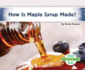 How Is Maple Syrup Made?