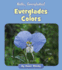 Everglades Colors (Hello, Everglades! )