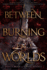 Between Burning Worlds (System Divine)