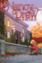 Hidden Pictures (19) (Nancy Drew Diaries)
