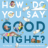 How Do You Say Good Night? [Board Book]