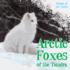 Arctic Foxes of the Tundra (Animals of the Tundra)